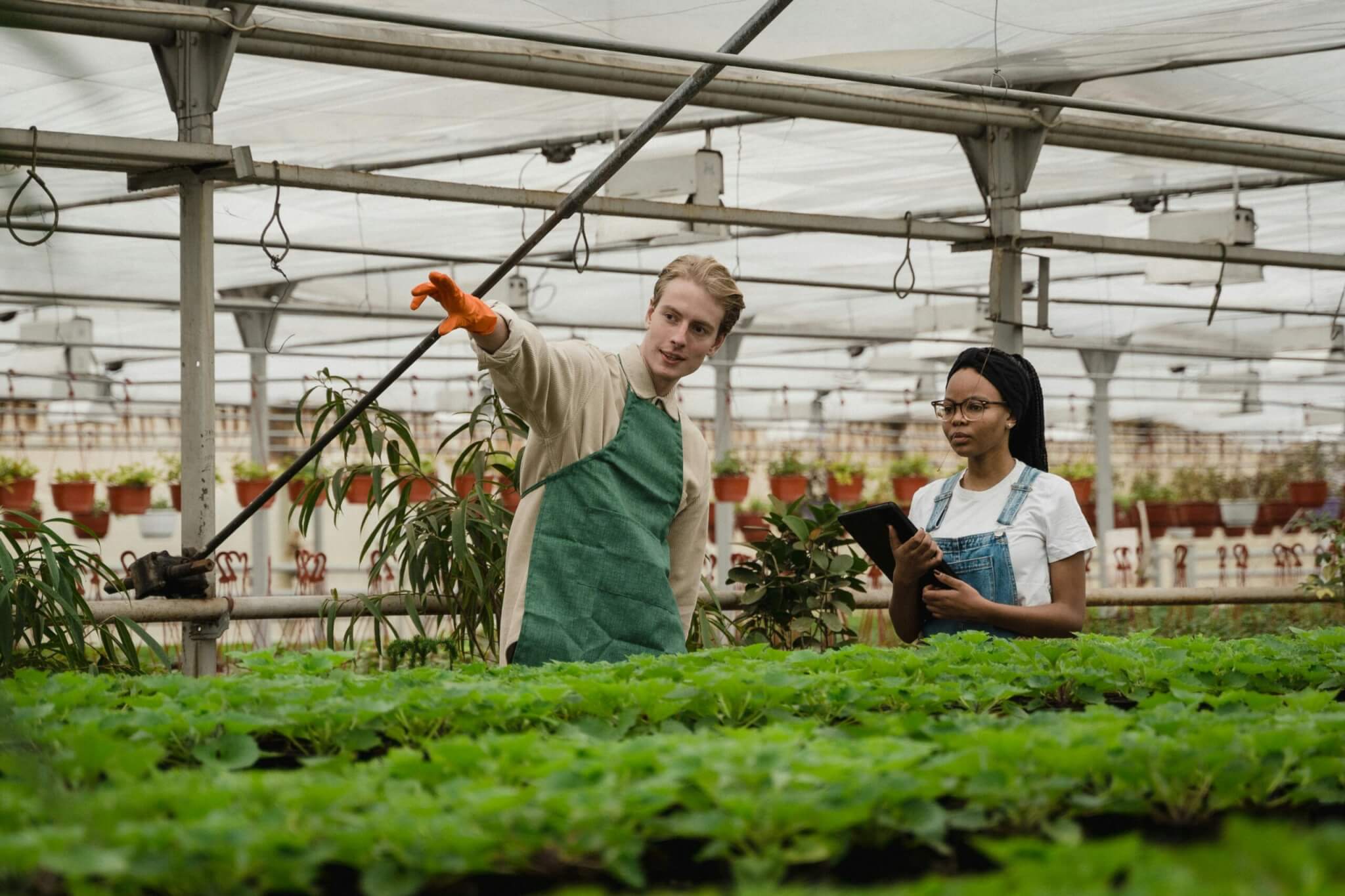 Teagasc invites employers to join Horticulture Apprenticeship Programme